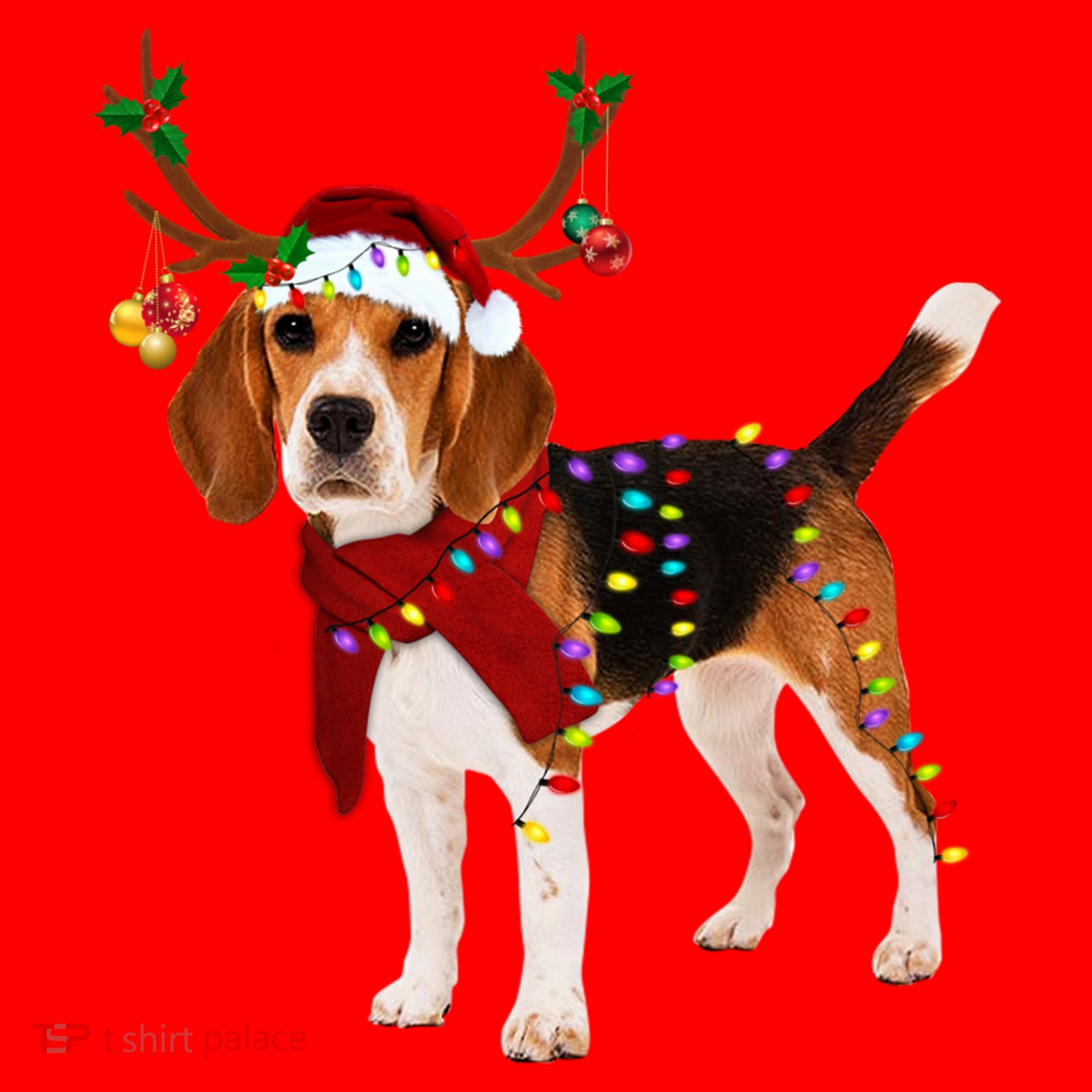 Santa Beagle Reindeer Light Christmas Gift Santa Hat