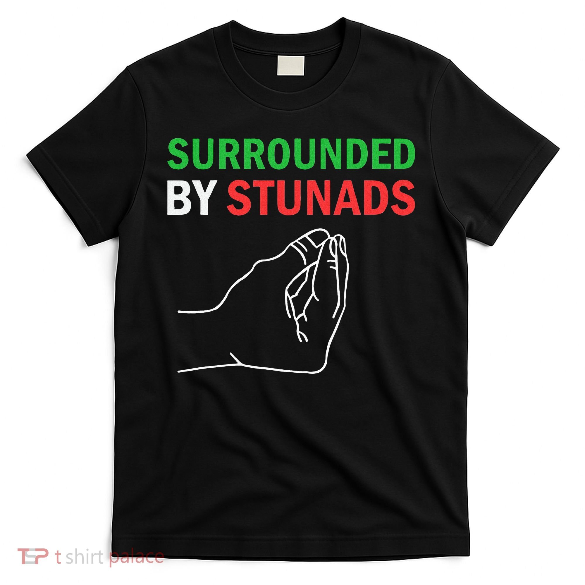 Surrounded By Stunads Funny Italian Sayings T-Shirt
