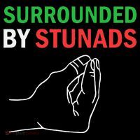 Surrounded By Stunads Funny Italian Sayings Women's Hoodie thumb 2