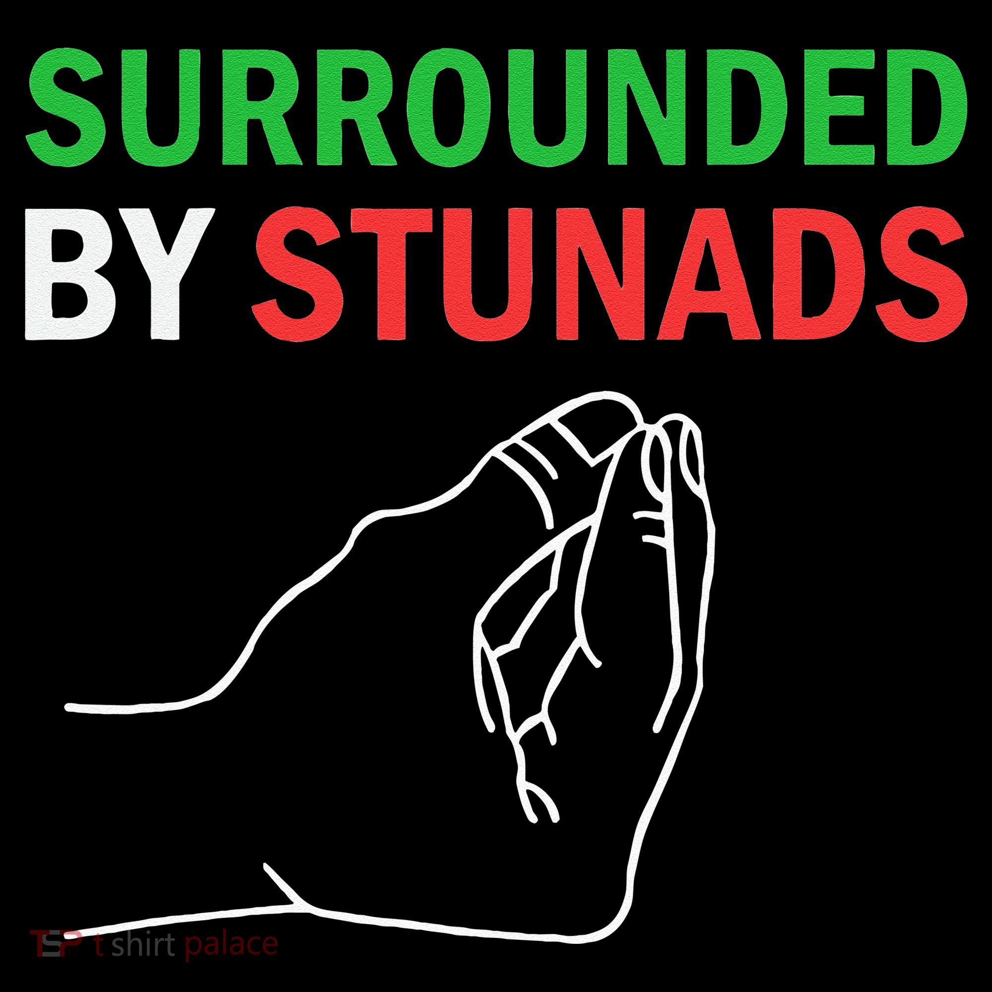 Surrounded By Stunads Funny Italian Sayings Women's Tank Top