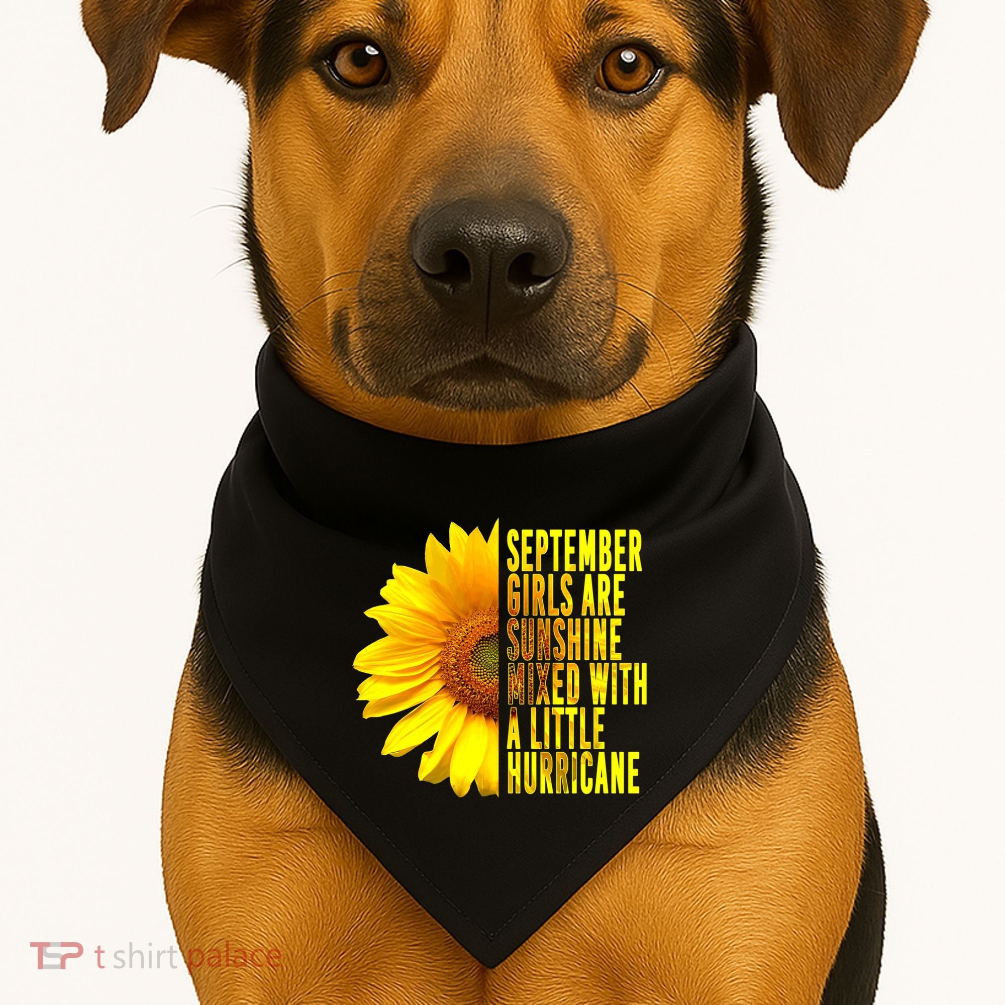 September Birthday Sunflower Funny Quote Gift USA-Made Doggie Bandana