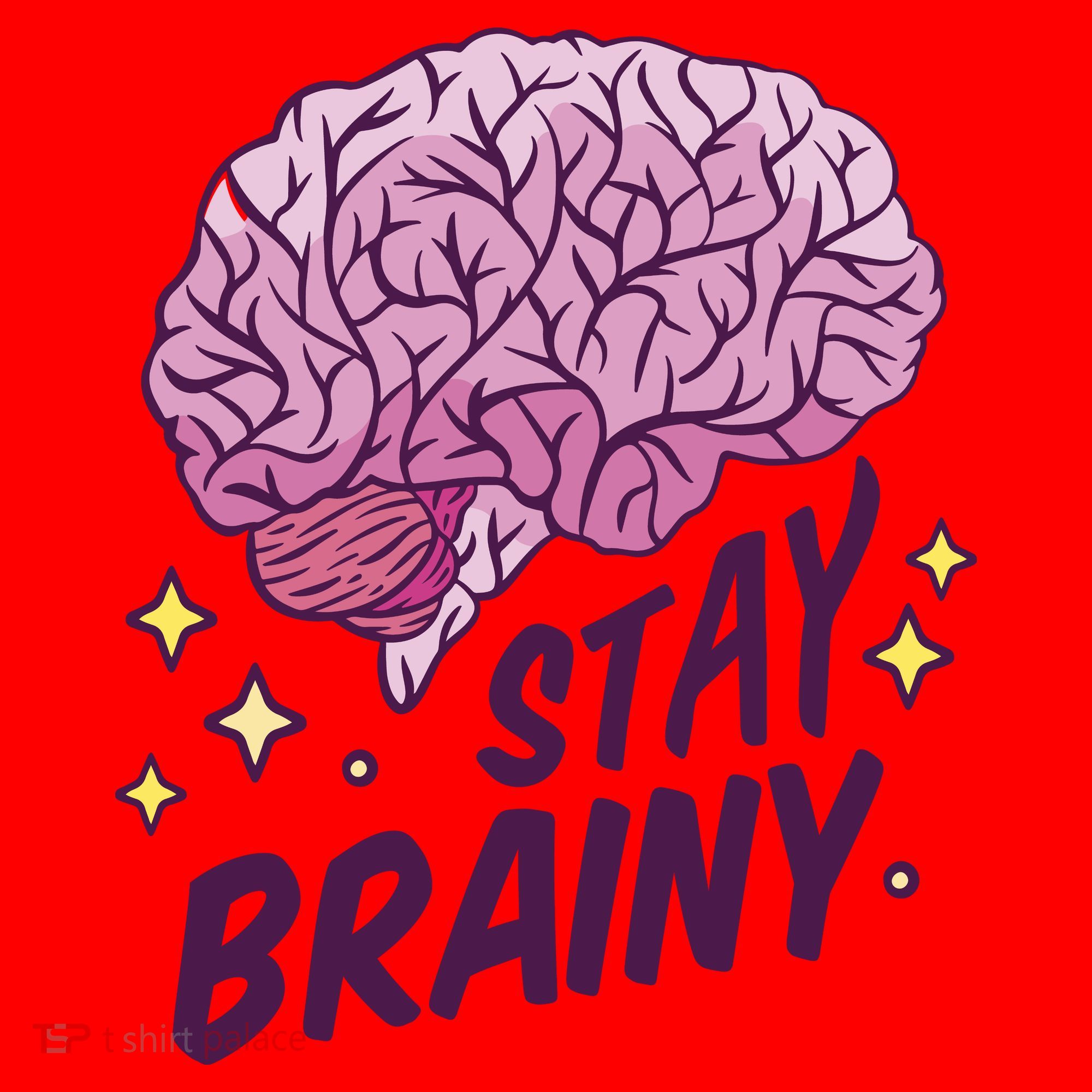 Stay Brainy Santa Hat