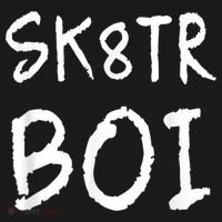 Skater Boi Sk8tr Boy For Skateboard Riders T-Shirt thumb 7