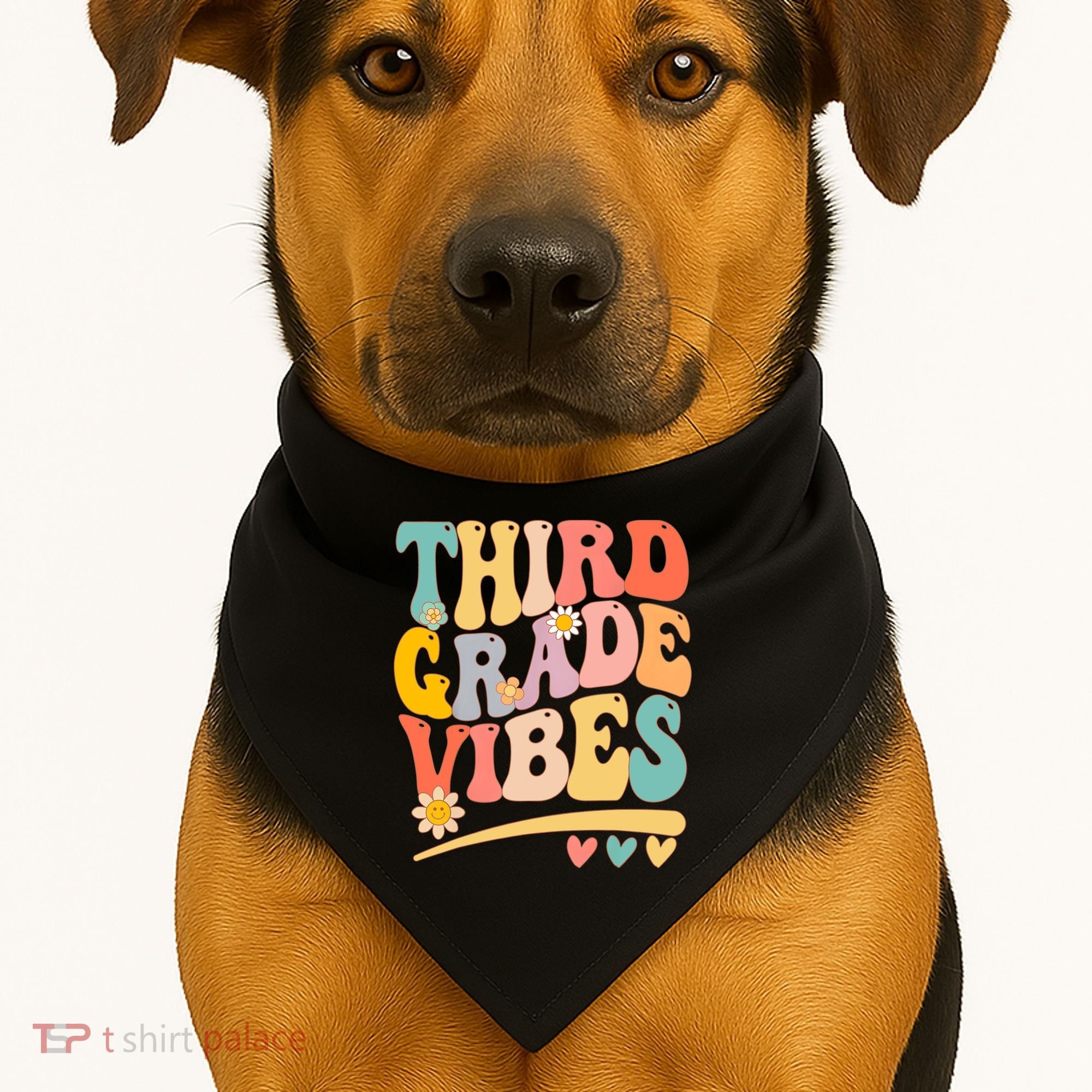 Third Grade Vibes For Girl Boy 3rd Grade Teacher USA-Made Doggie Bandana