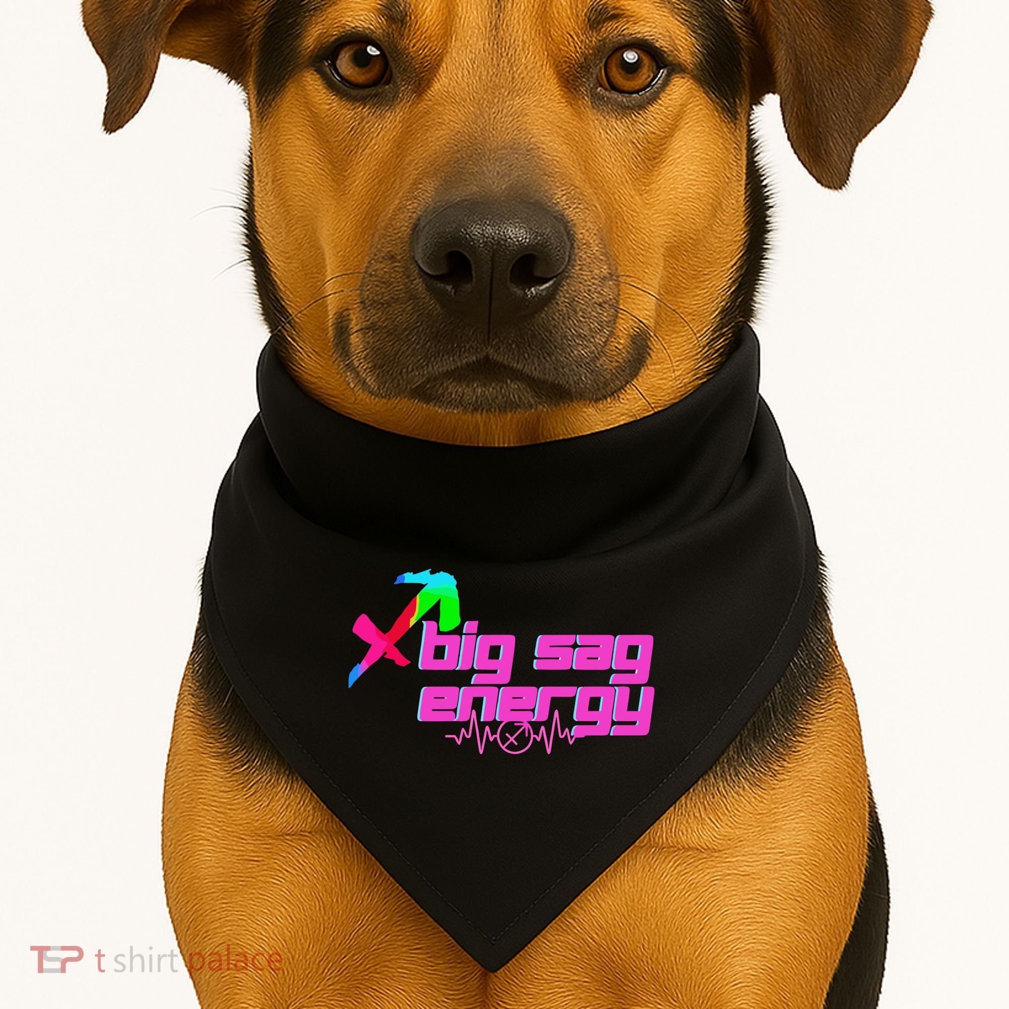 Sagittarius Big Sag Energy USA-Made Doggie Bandana