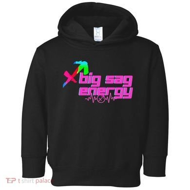 Sagittarius Big Sag Energy Toddler Hoodie