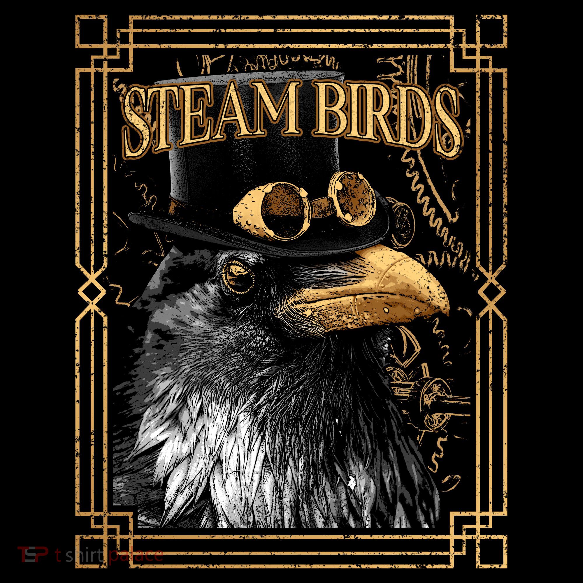 Steam Birds Women's T-Shirt