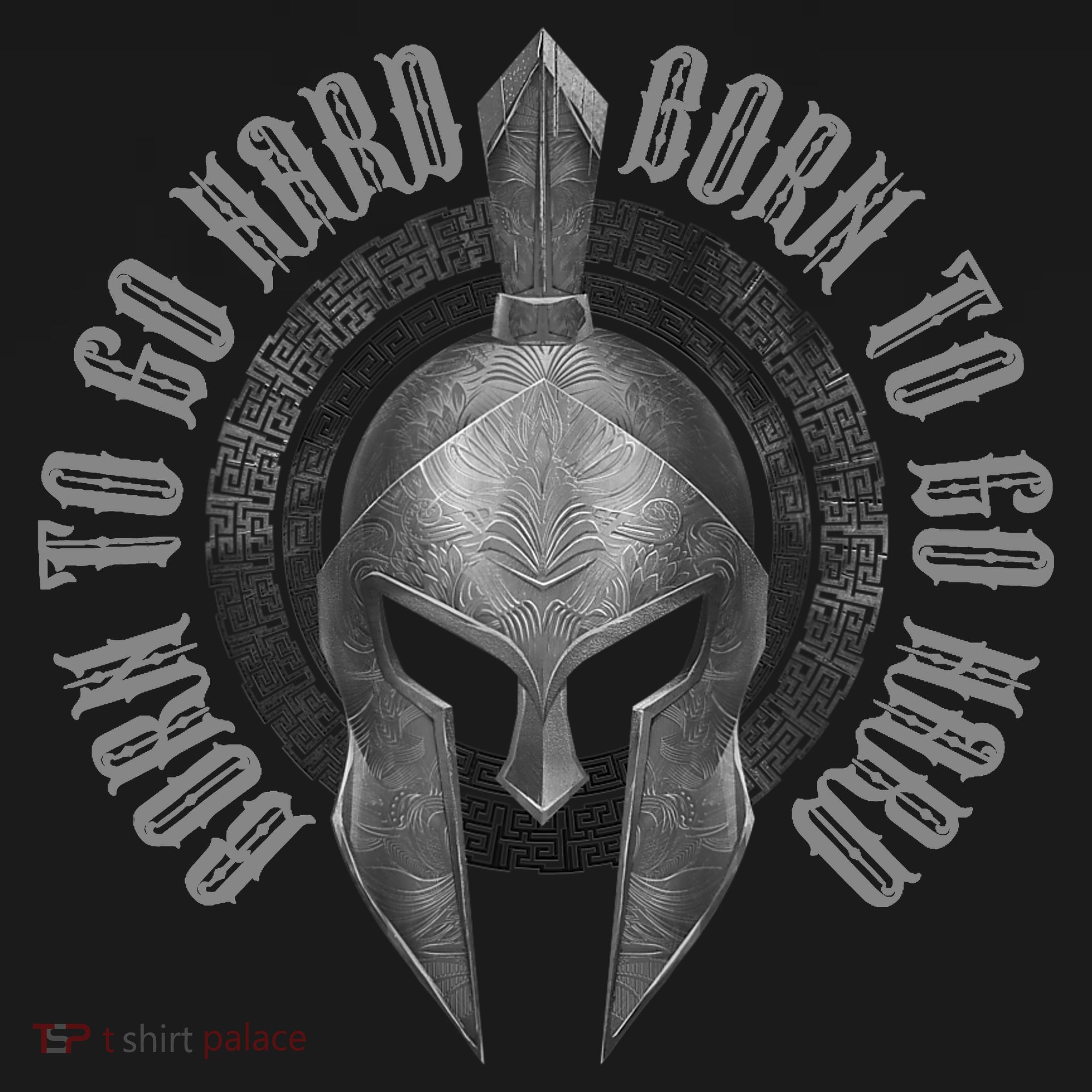Spartan Born To Go Hard | Warrior Gym Workout Sparta Helmet Sweatshirt