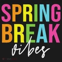 Spring Break Vibes Women's T-Shirt thumb 6