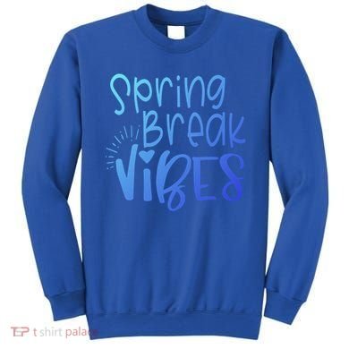 Spring Break Vibes Vacation Saying Fun In The Sun Gift Sweatshirt