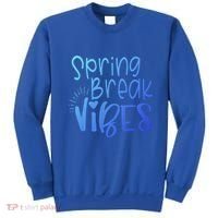 Spring Break Vibes Vacation Saying Fun In The Sun Gift Sweatshirt thumb 0