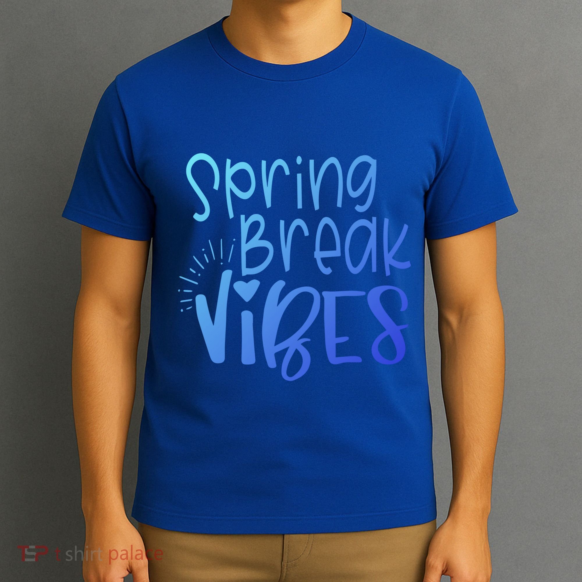 Spring Break Vibes Vacation Saying Fun In The Sun Gift T-Shirt