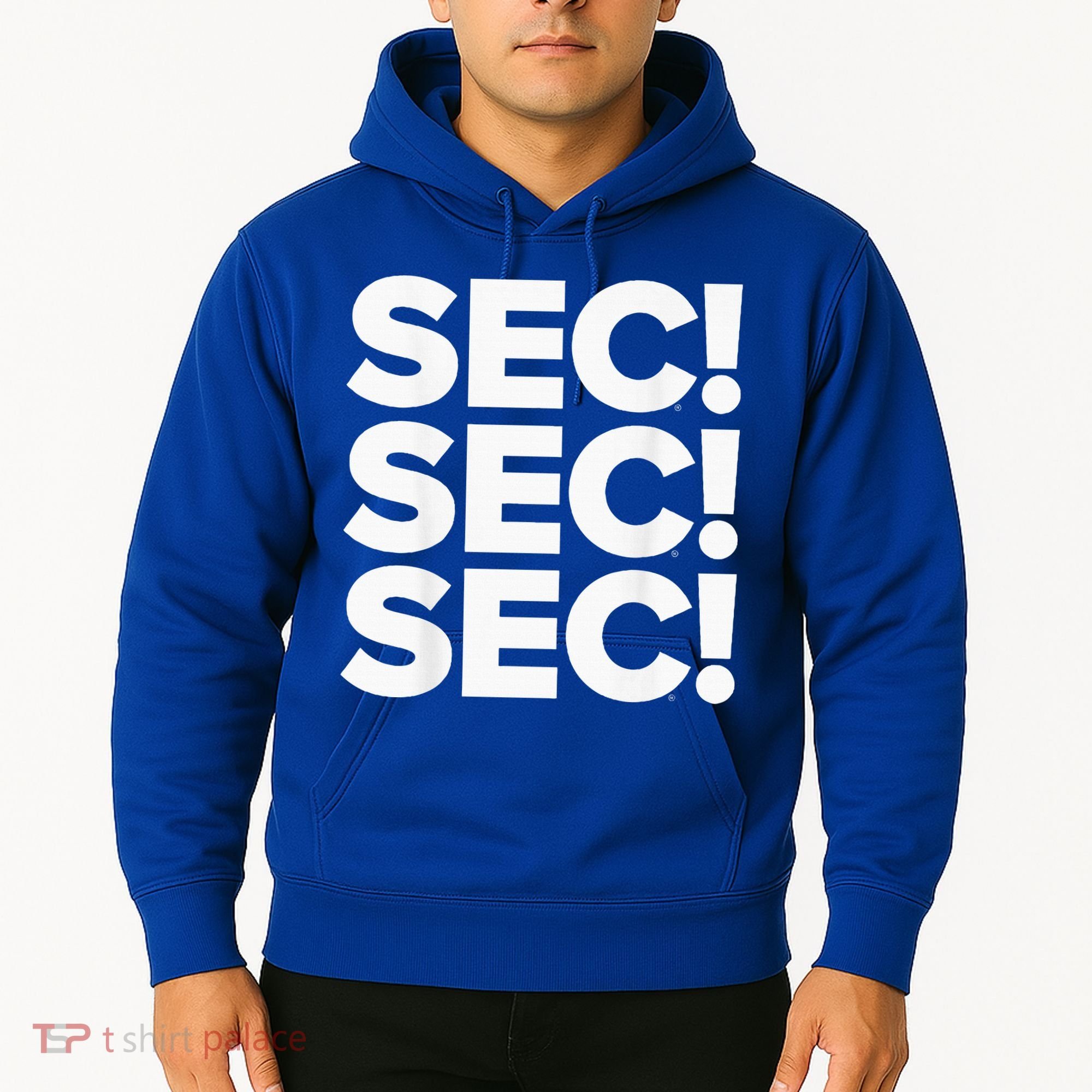 Sec Champs 2024 Baseball Hoodie