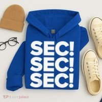Sec Champs 2024 Baseball Hoodie thumb 4