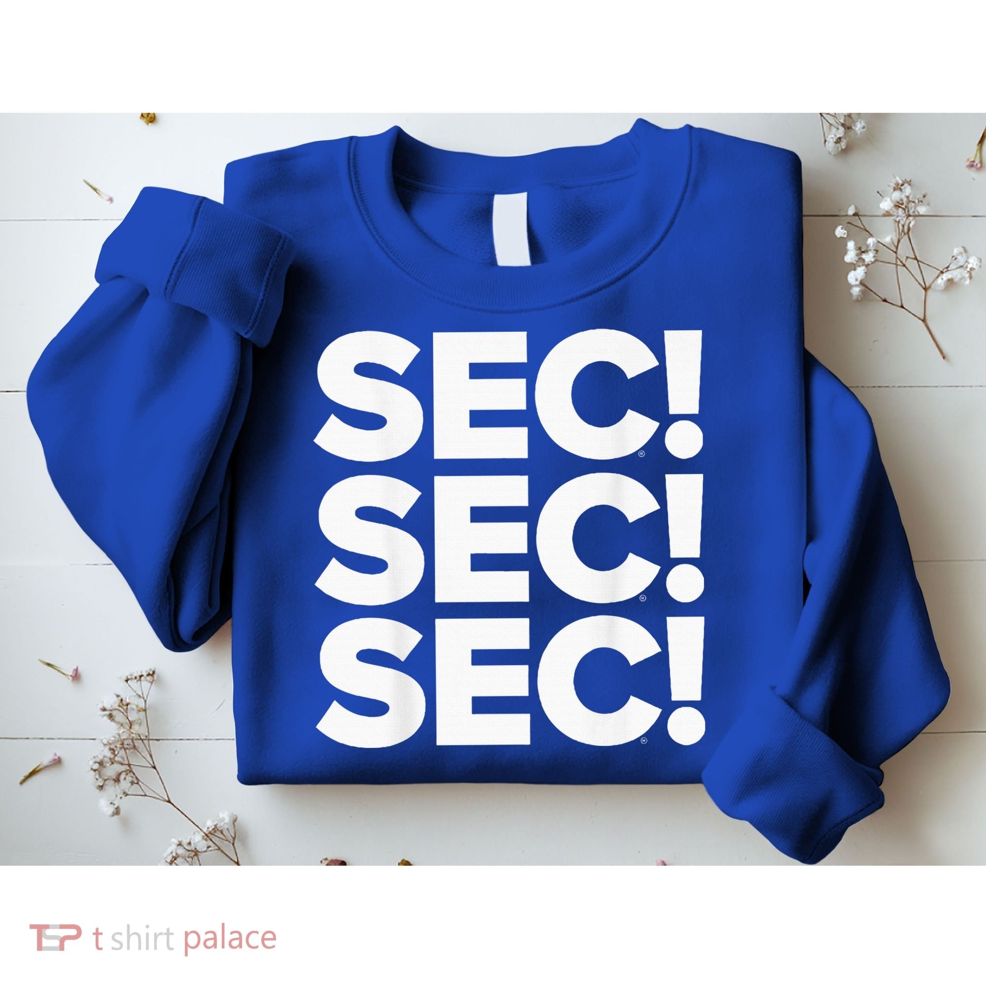 Sec Champs 2024 Baseball Sweatshirt