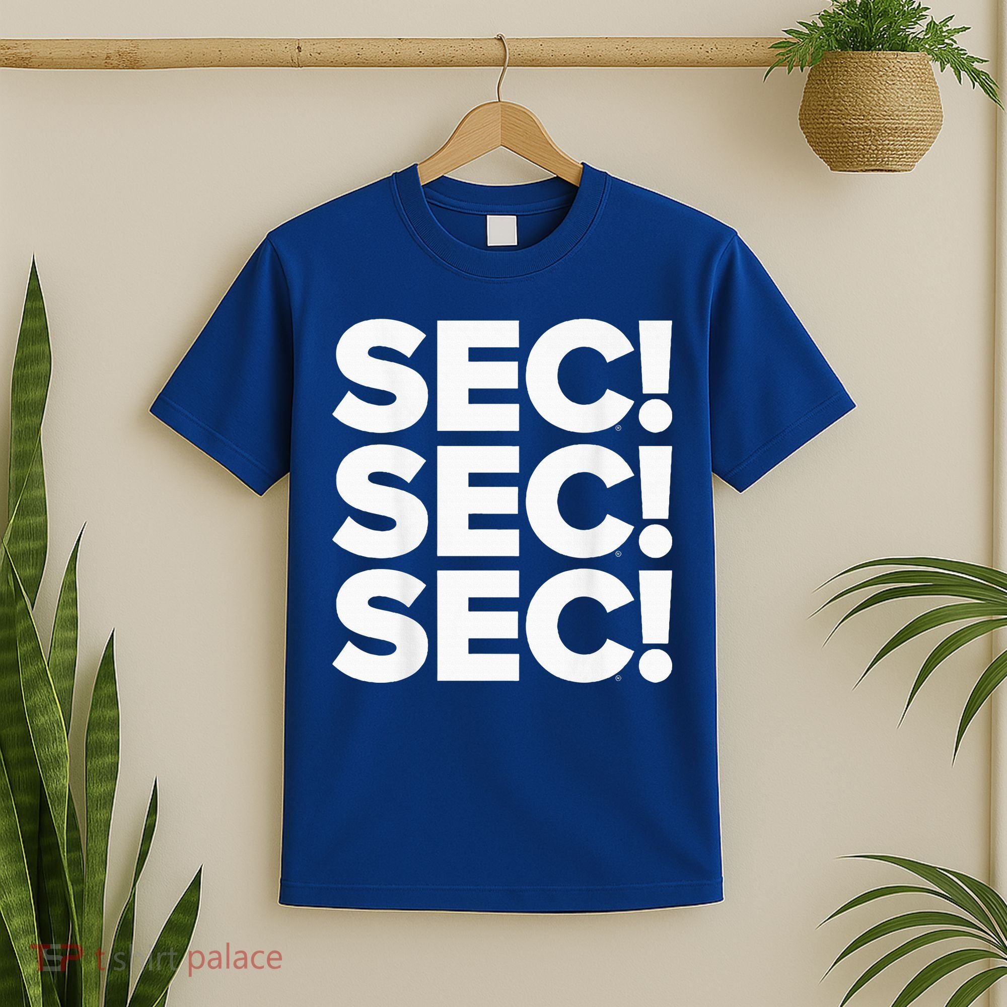 Sec Champs 2024 Baseball T-Shirt