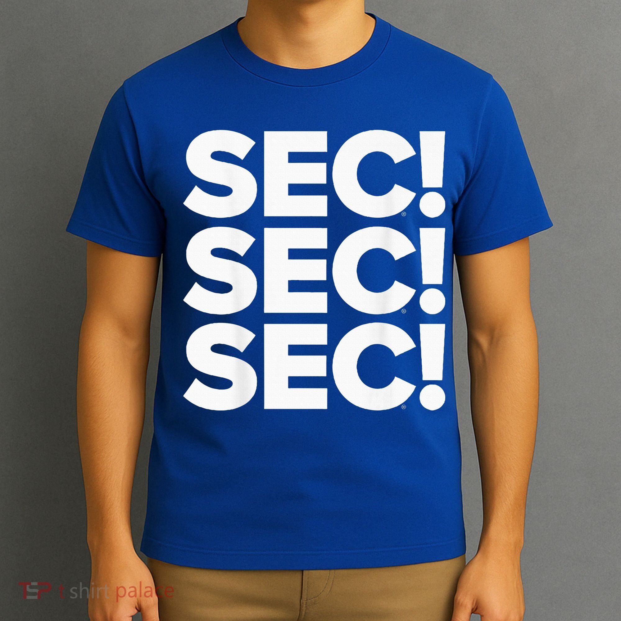 Sec Champs 2024 Baseball T-Shirt