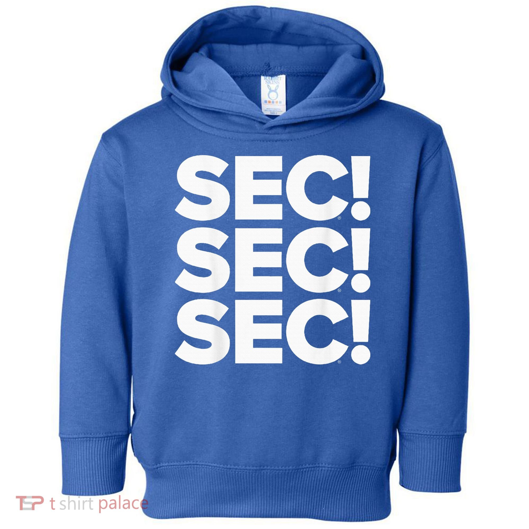 Sec Champs 2024 Baseball Toddler Hoodie