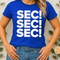 Sec Champs 2024 Baseball Women's T-Shirt thumb 2