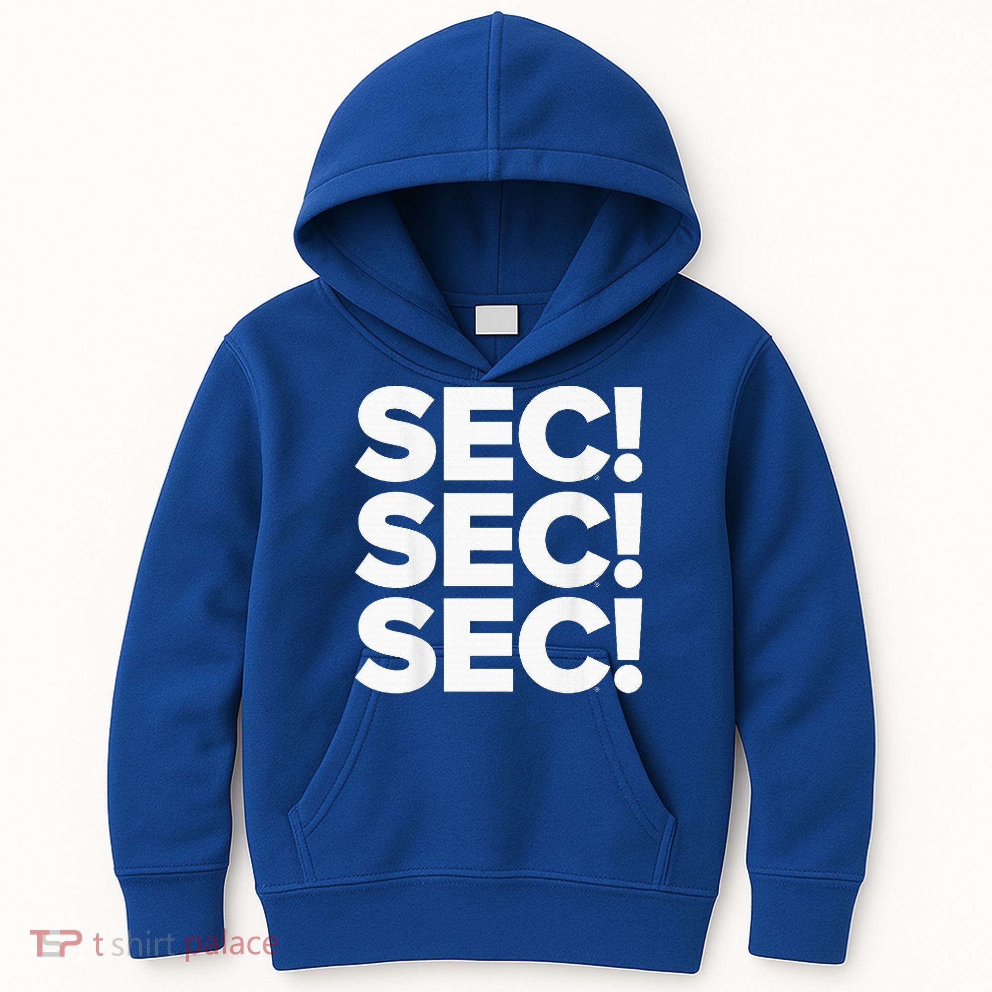 Sec Champs 2024 Baseball Kids Hoodie
