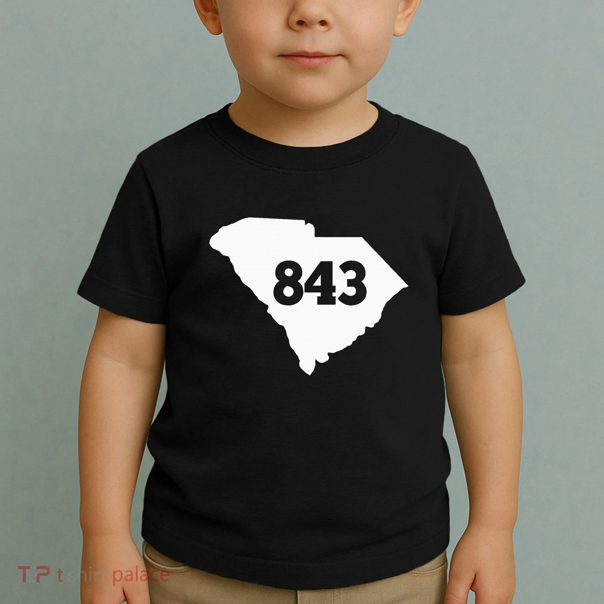 South Carolina 843 Area Code Toddler T-Shirt