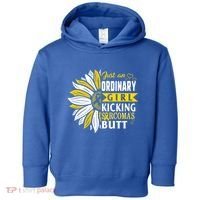 Sarcoma Cancer Awareness Just Ordinary Warrior Gift Toddler Hoodie thumb 0