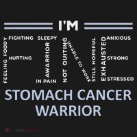 Stomach Cancer Awareness I´M Fine Periwinkle Ribbon Fighter Women's Hoodie thumb 2