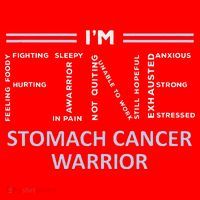 Stomach Cancer Awareness I´M Fine Periwinkle Ribbon Fighter Santa Hat thumb 1