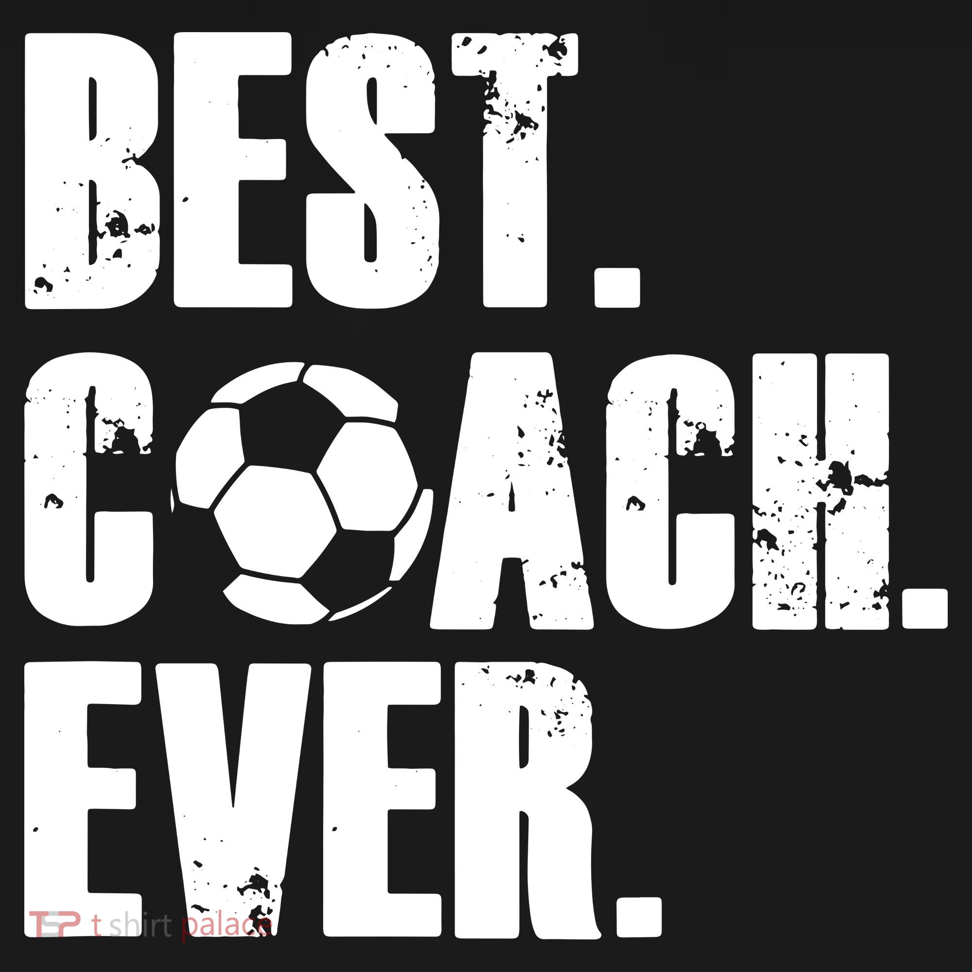 SOCCER COACH BEST COACH EVER SOCCER GIFT Ornament