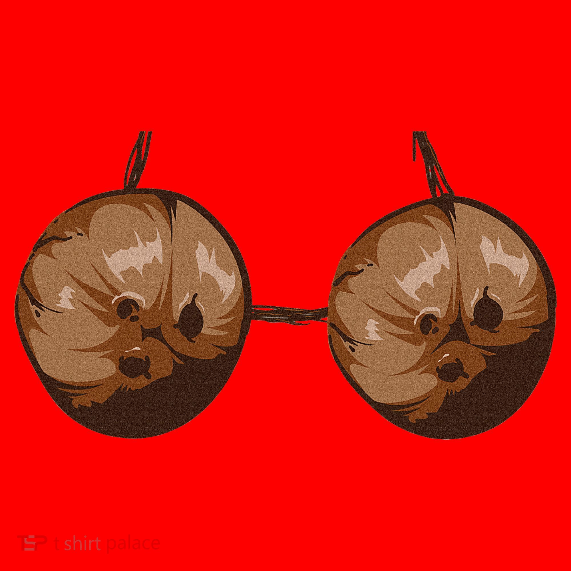 Summer Coconut Bra Halloween Costume Funny Outfit Gift Santa Hat
