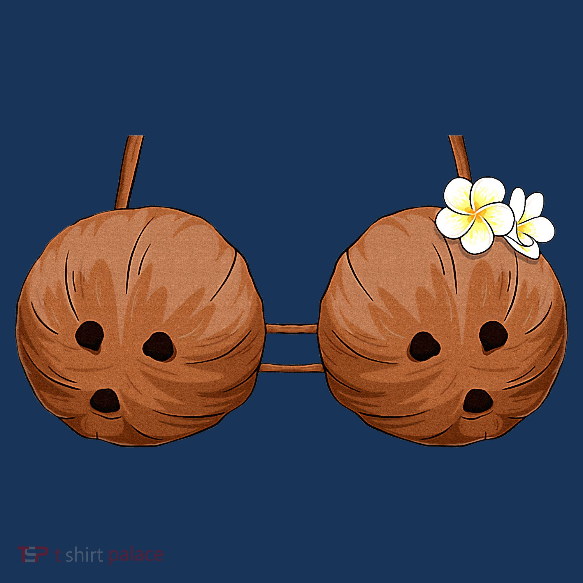 Summer Coconut Bra Halloween Hawaii Hat