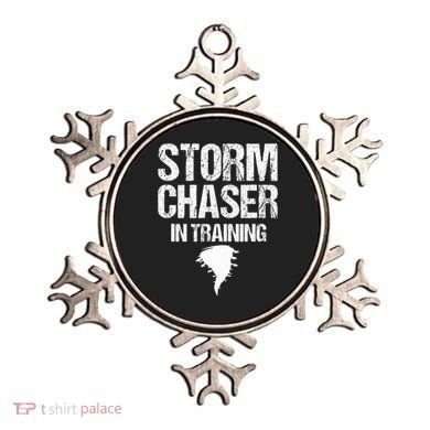 Storm Chaser Chasing Weather Hurricane Tornado Twister Gift Ornament