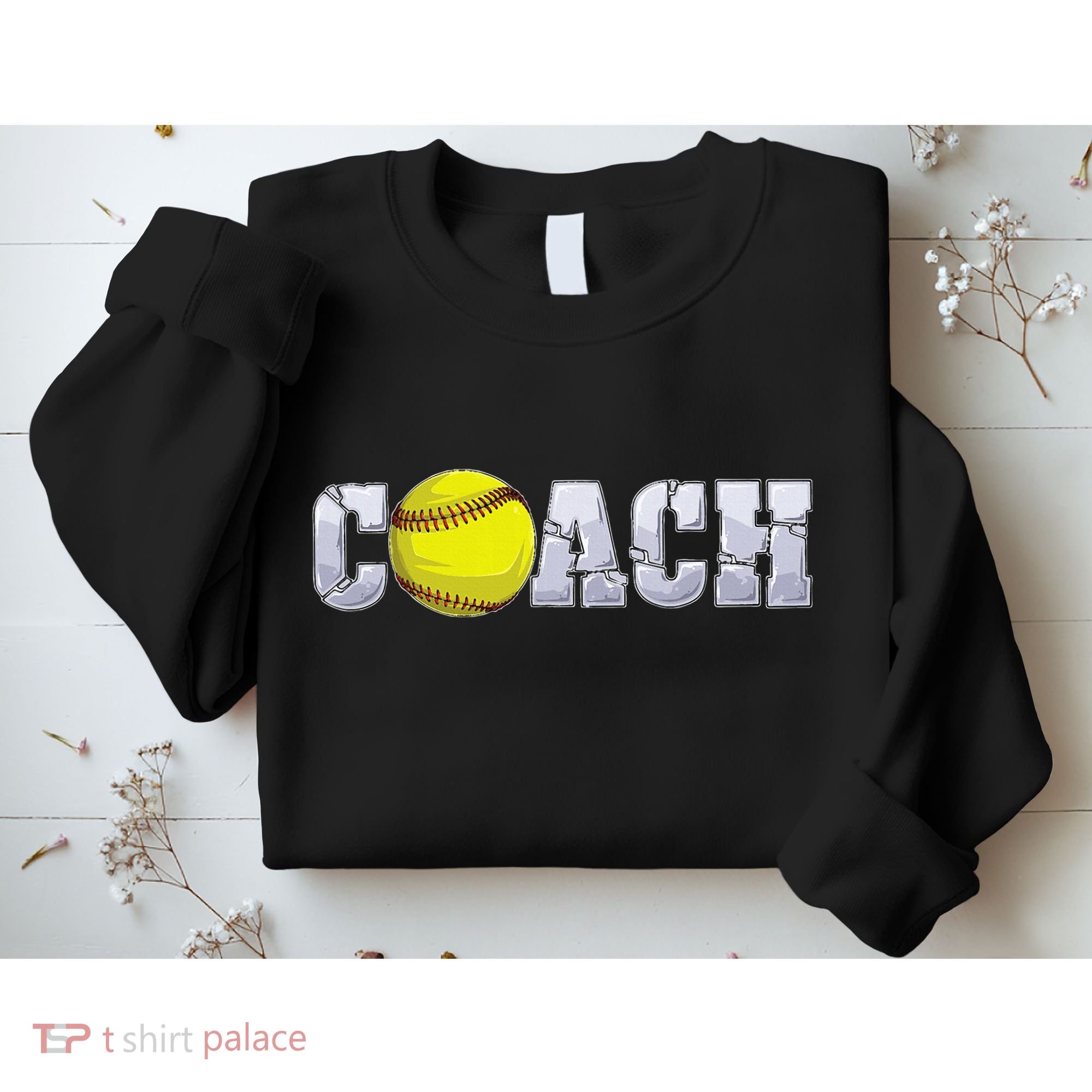 Softball Coach Coaching Assistant Coach Softball Team Sweatshirt