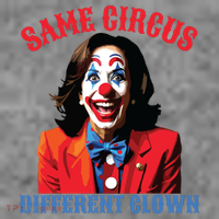 Same Circus Different Clown Funny Kamala Clown 2024 Toddler Hoodie thumb 2