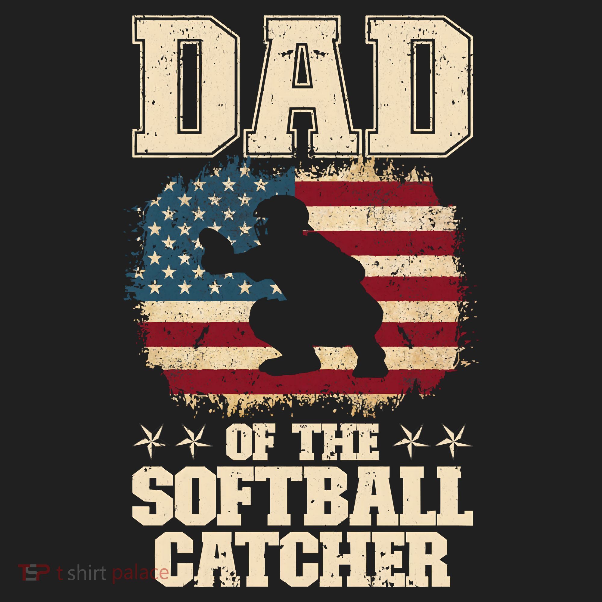 Softball Catcher Dad Jokes American Flag Fathers Day Beanie