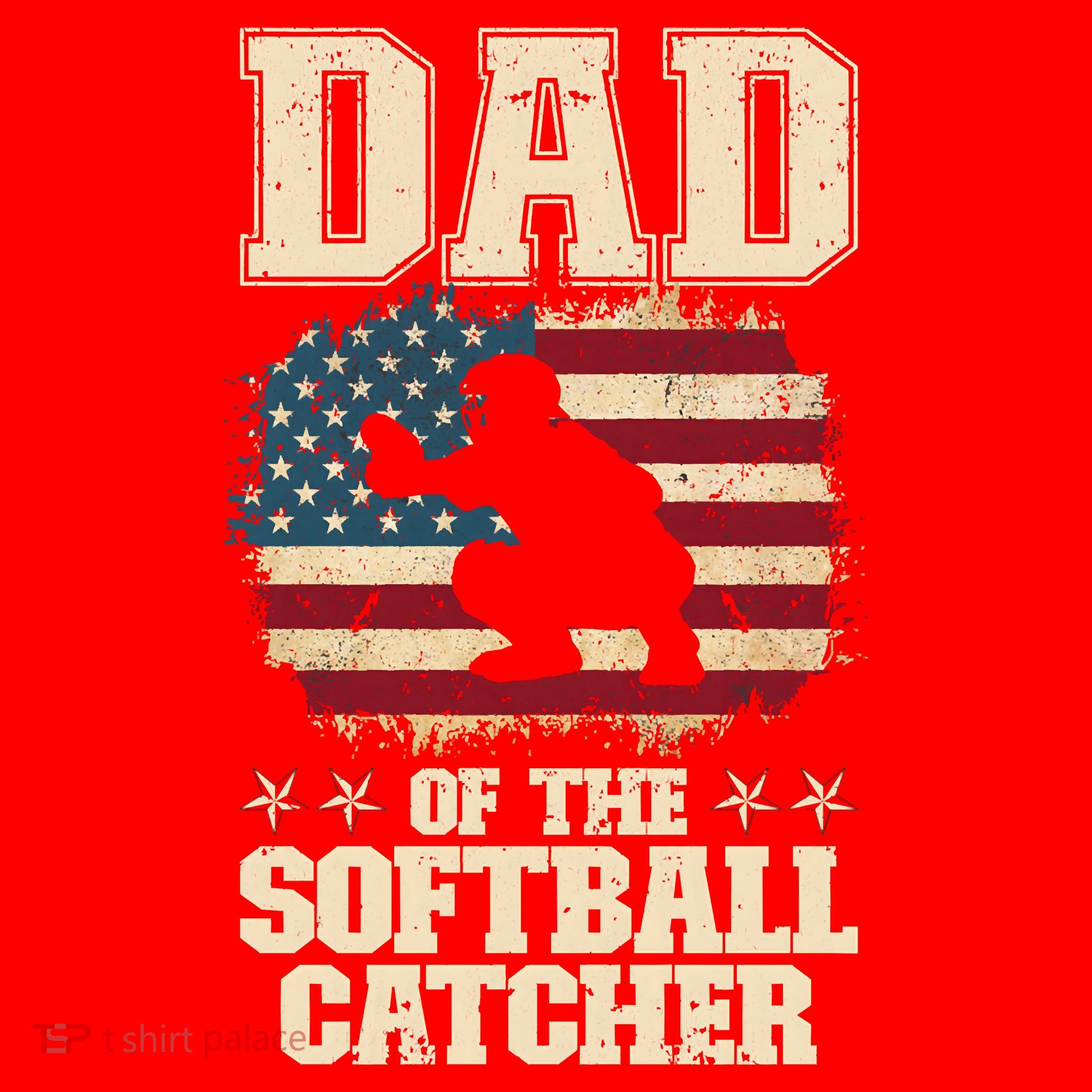 Softball Catcher Dad Jokes American Flag Fathers Day Santa Hat
