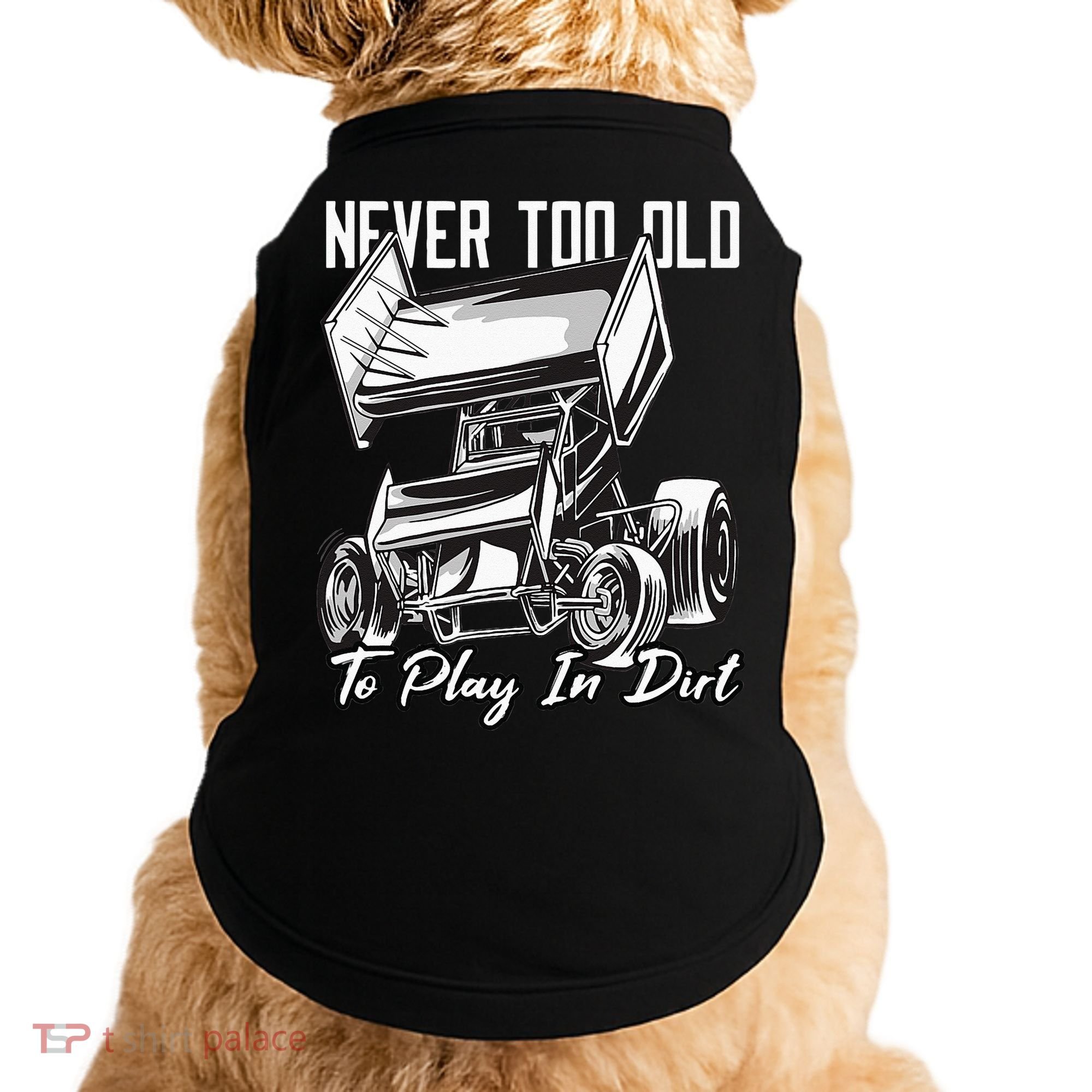 SPRINT CAR DIRT TRACK RACING Play In Dirt Doggie Tank