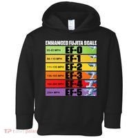 Storm Chasing Enhanced Fujita Scale Tornado Meteorologist Toddler Hoodie thumb 0