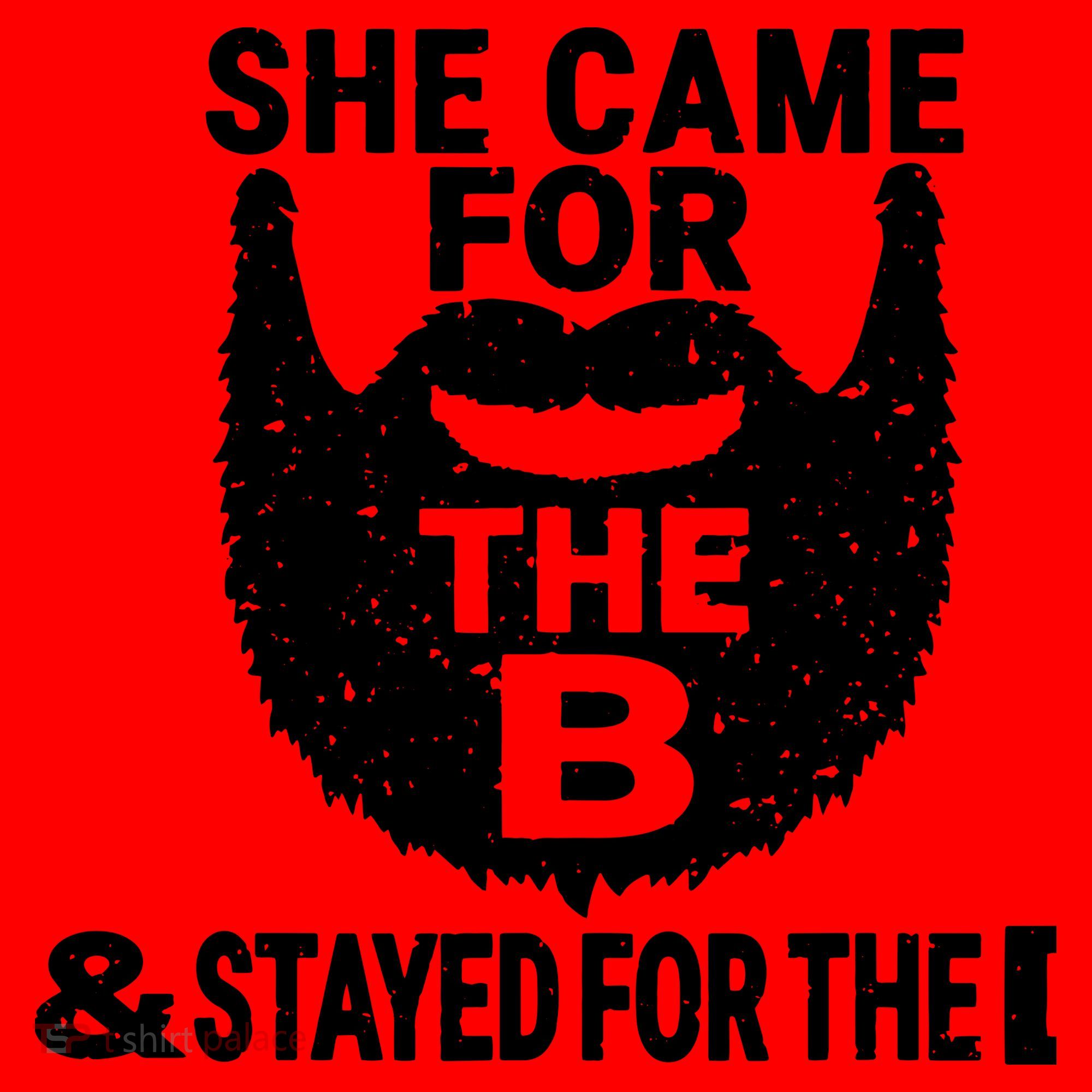She Came For The B And Stayed For The D Funny Beard Santa Hat