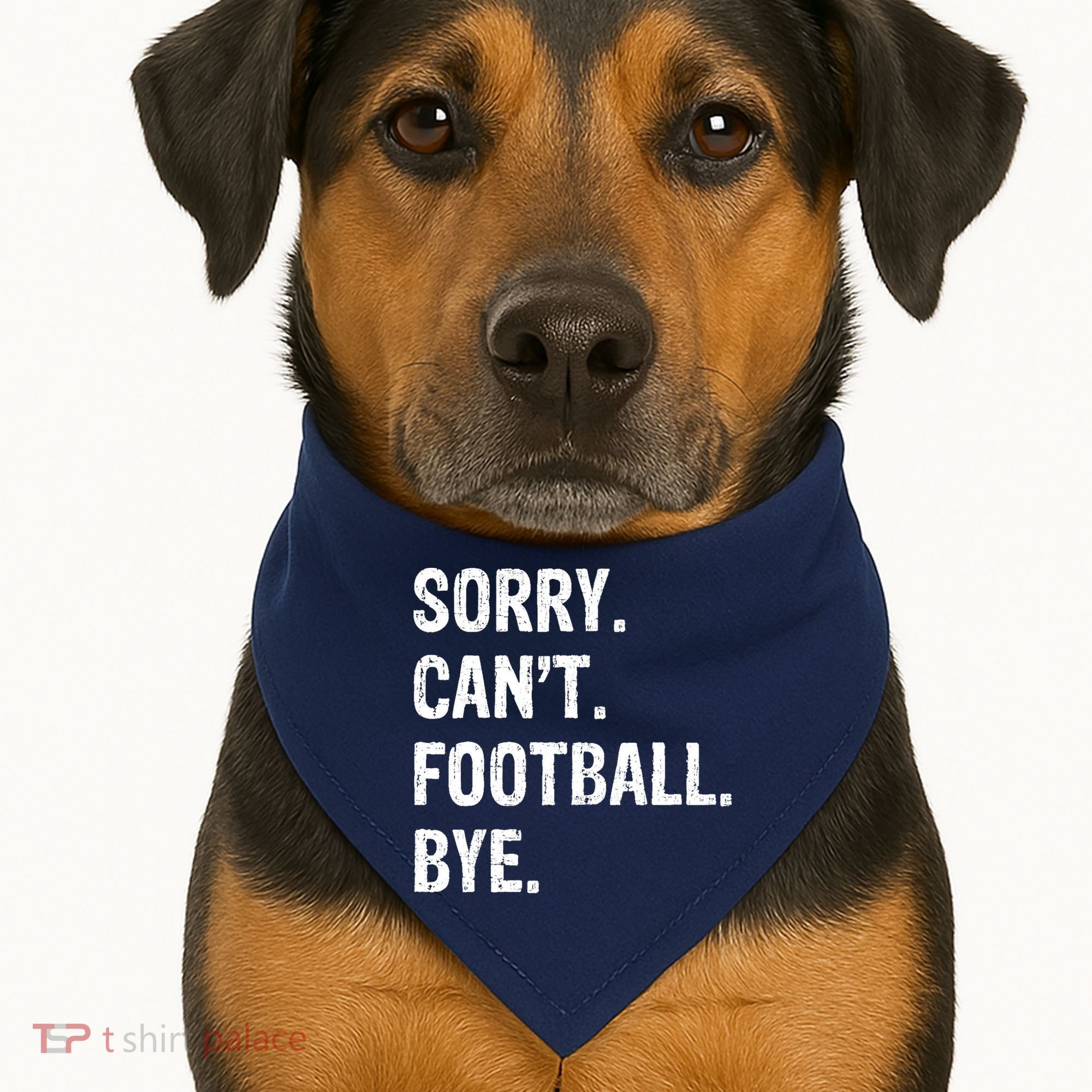 Sorry. CanT. Football. Bye. USA-Made Doggie Bandana