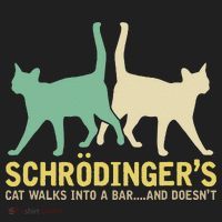 Schrodingers Cat Funny Science Gift Physics Beanie thumb 2