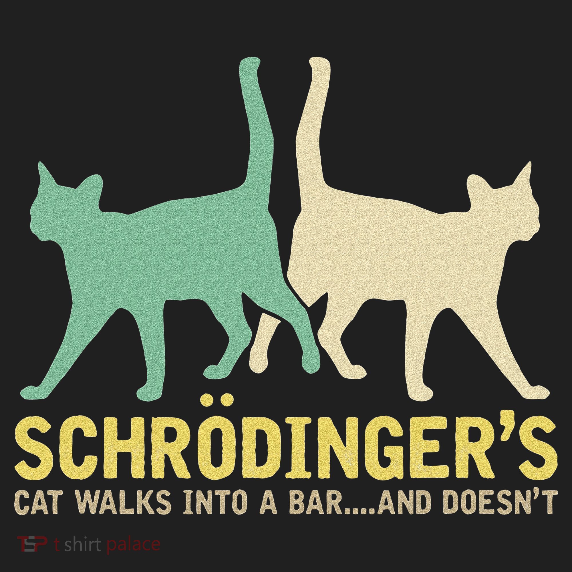 Schrodingers Cat Funny Science Gift Physics Beanie