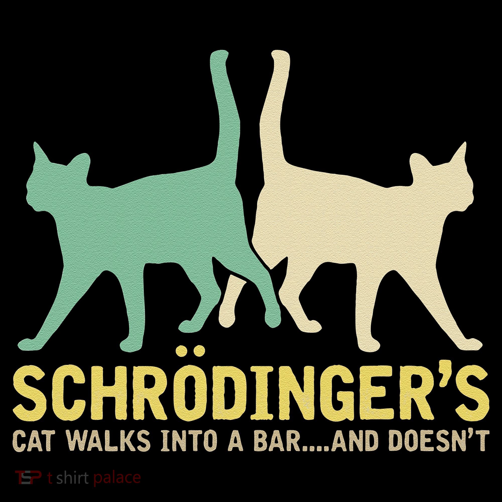 Schrodingers Cat Funny Science Gift Physics Women's Hoodie