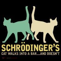 Schrodingers Cat Funny Science Gift Physics Ornament thumb 1