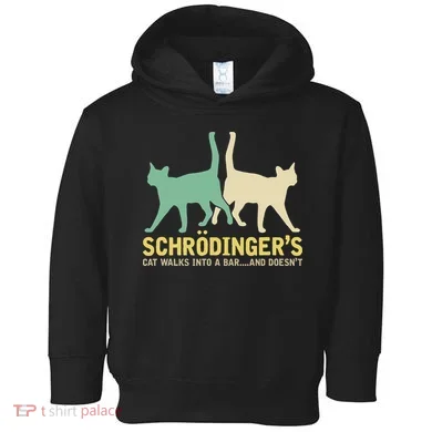 Schrodingers Cat Funny Science Gift Physics Toddler Hoodie
