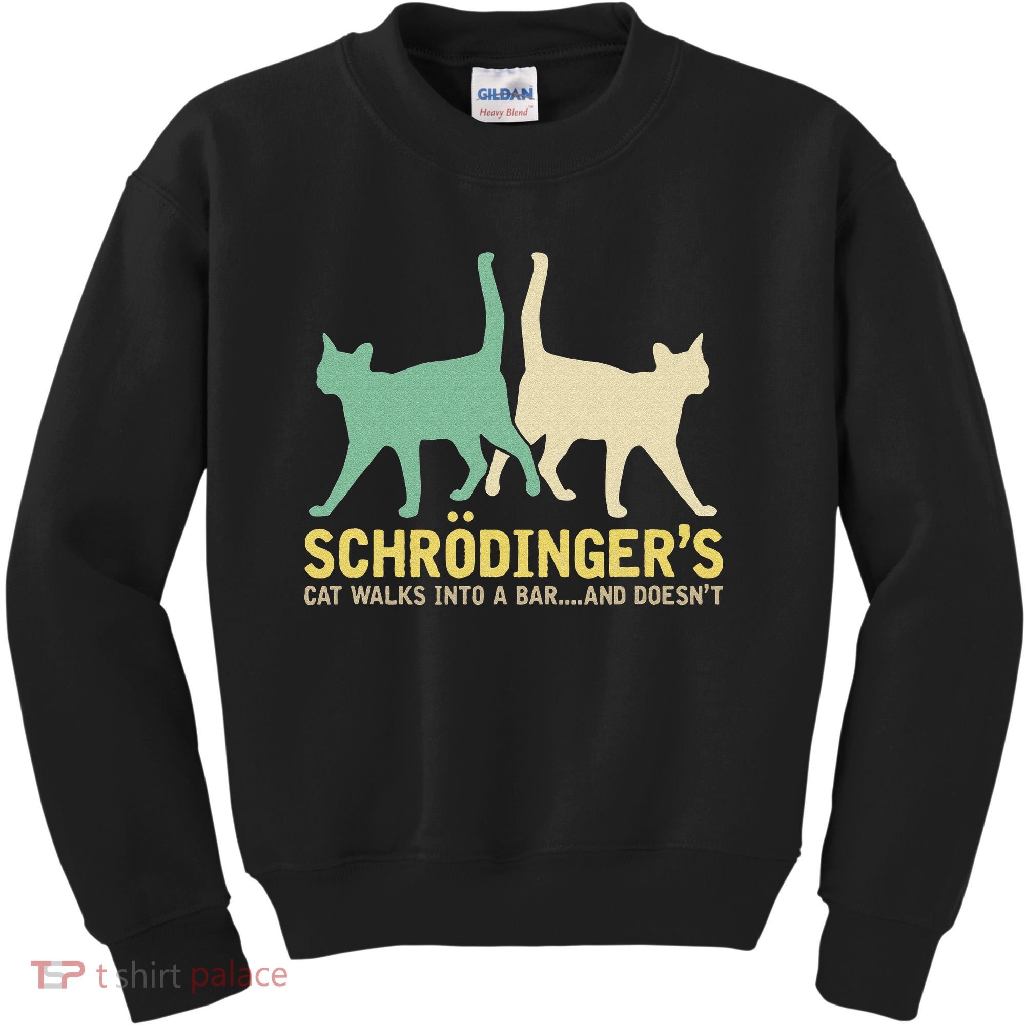 Schrodingers Cat Funny Science Gift Physics Kids Sweatshirt