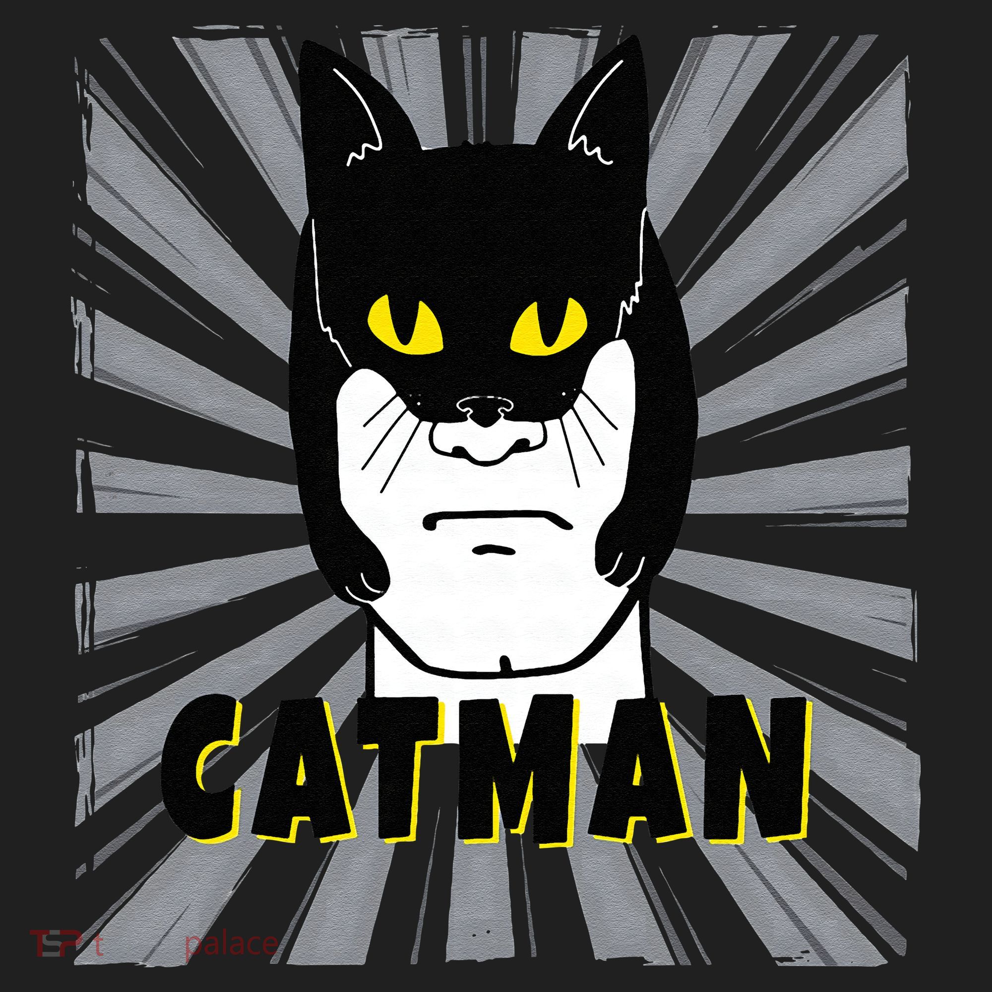 Superhero CatMan Funny Cat Dad Cat Lovers Hat