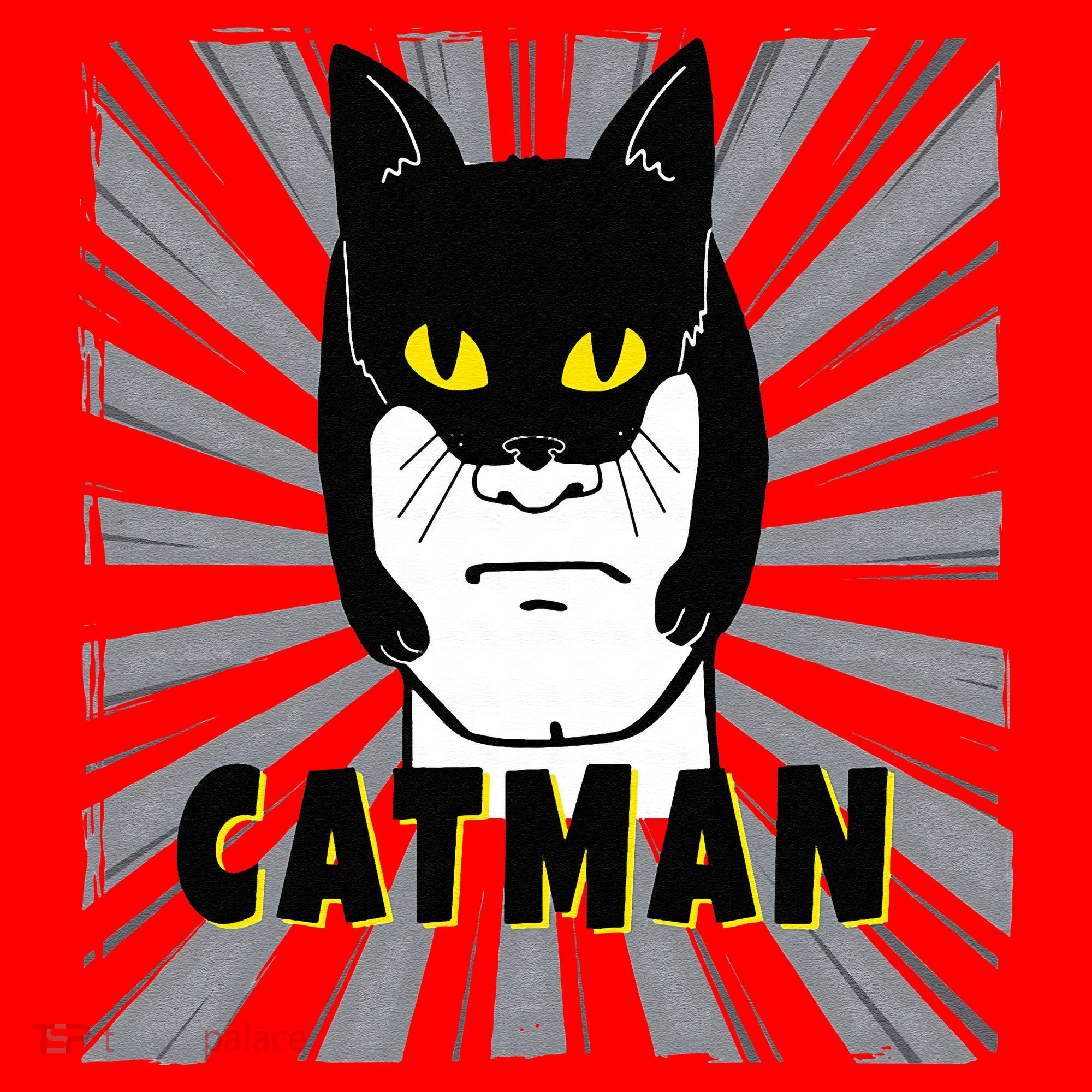 Superhero CatMan Funny Cat Dad Cat Lovers Santa Hat