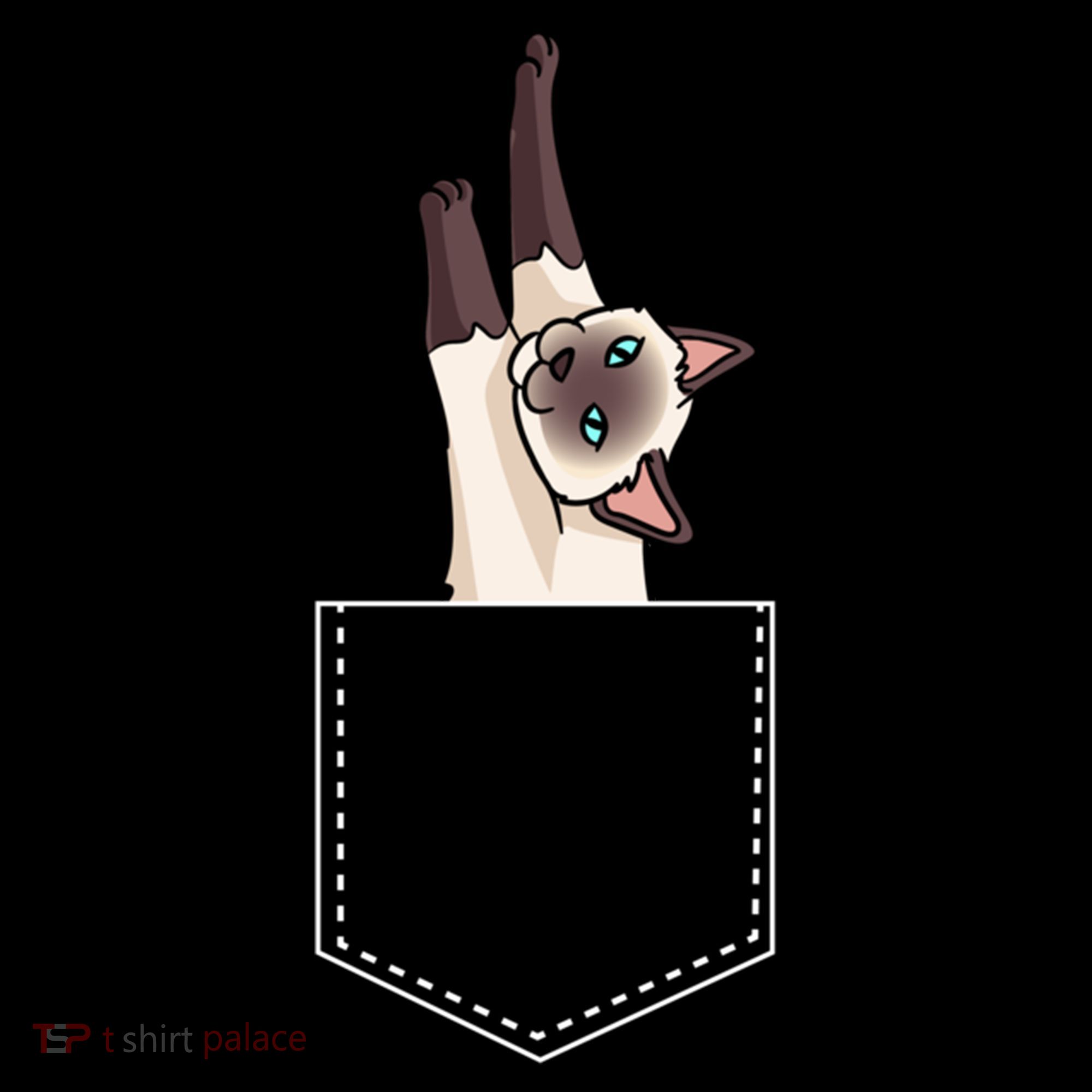 Siamese Cat Gift Love My Siamese Cat Funny Gift Women's Hoodie