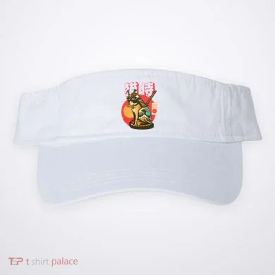 Visor